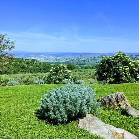Agriturismo Podere Prataccio Grosseto Luaran gambar
