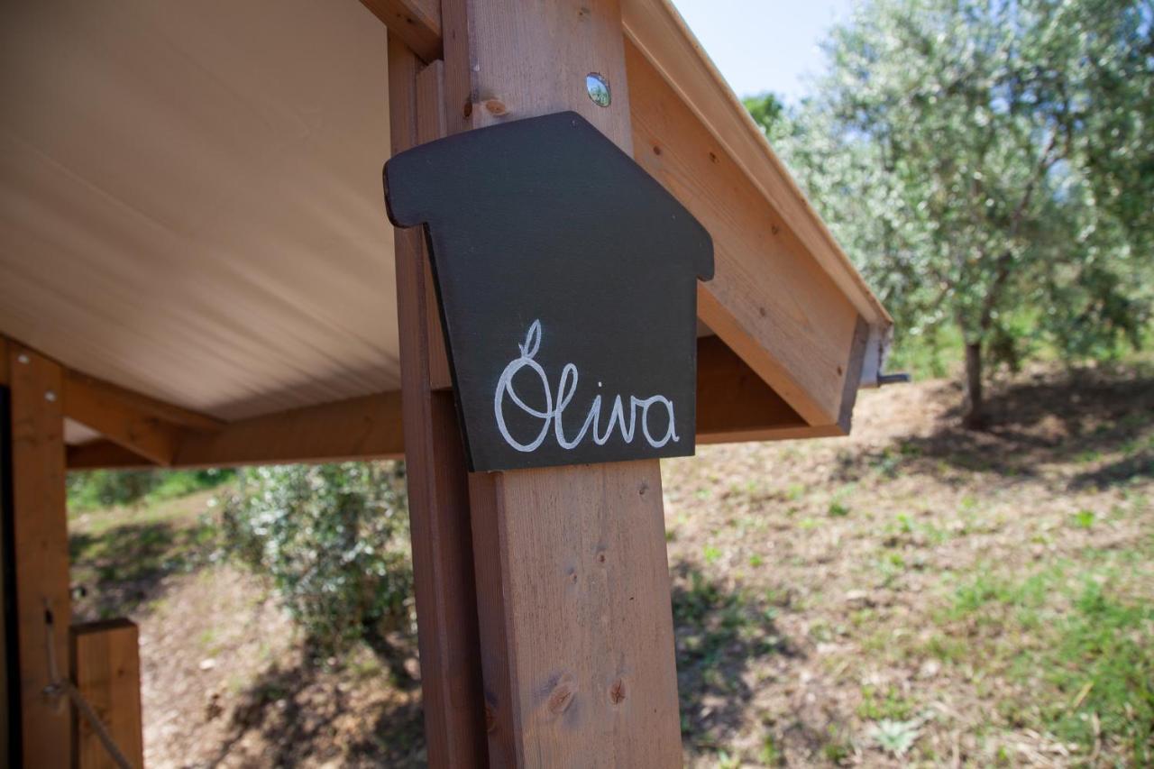 Agriturismo Podere Prataccio Grosseto Luaran gambar